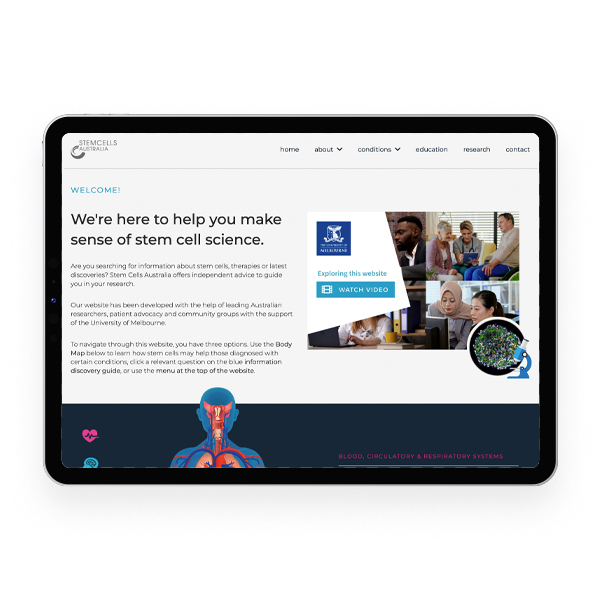 dqube-projects-stem-cells